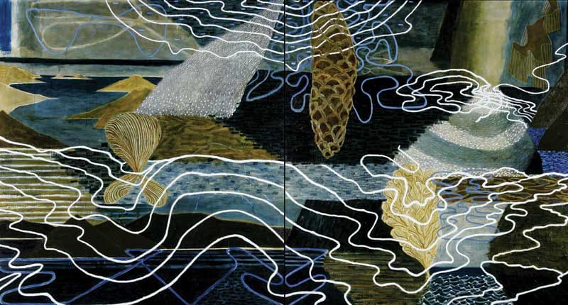 Tim Burns, Bruny Island to Blinking Billy, 2007