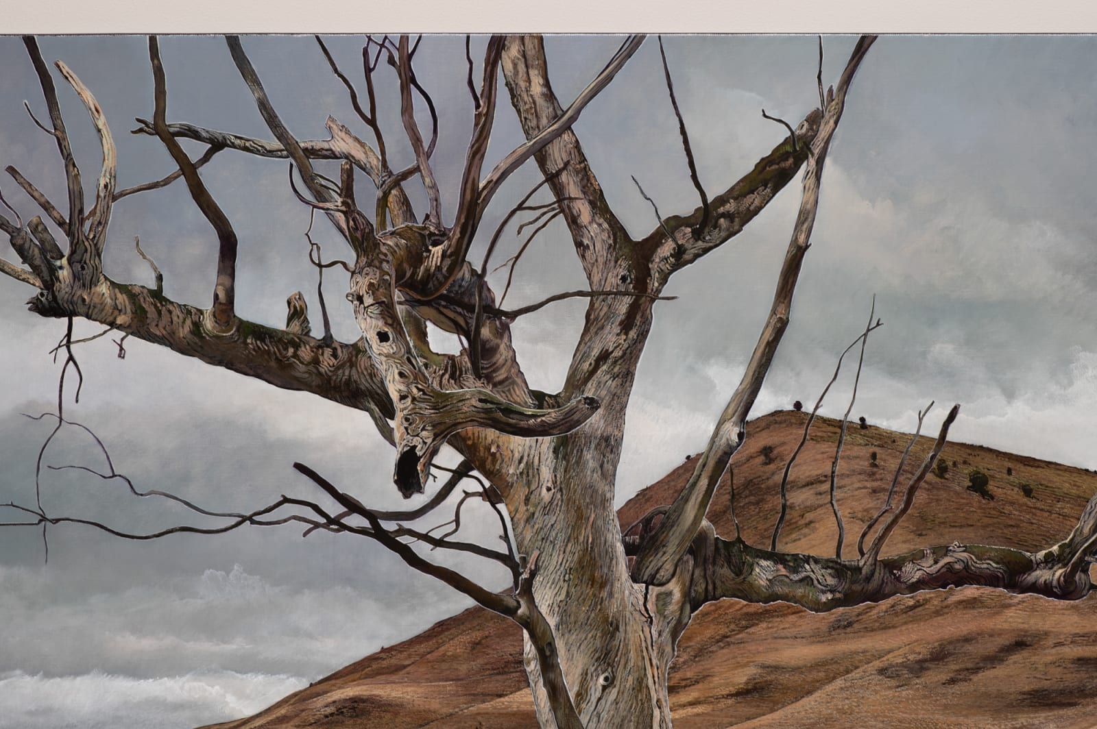 Stephanie Tabram, Near Green Valley, 2020