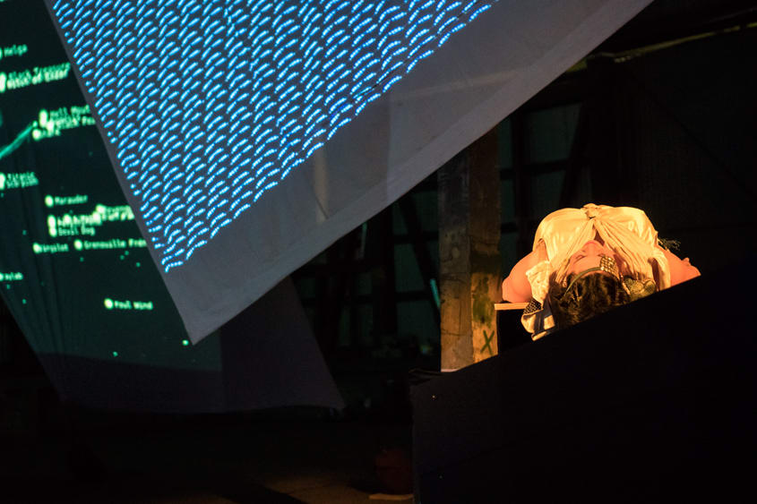 Nancy Mauro-Flude, Friggin’ in the Riggin’ II, 2016