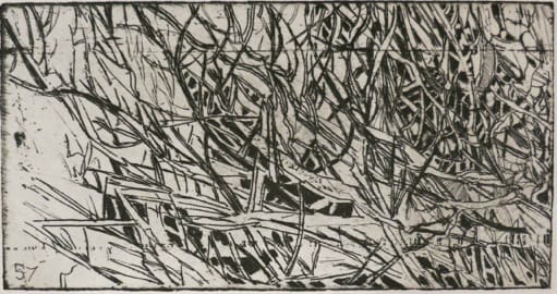 Raymond Arnold, Elsewhere world fragments No.57, 2015