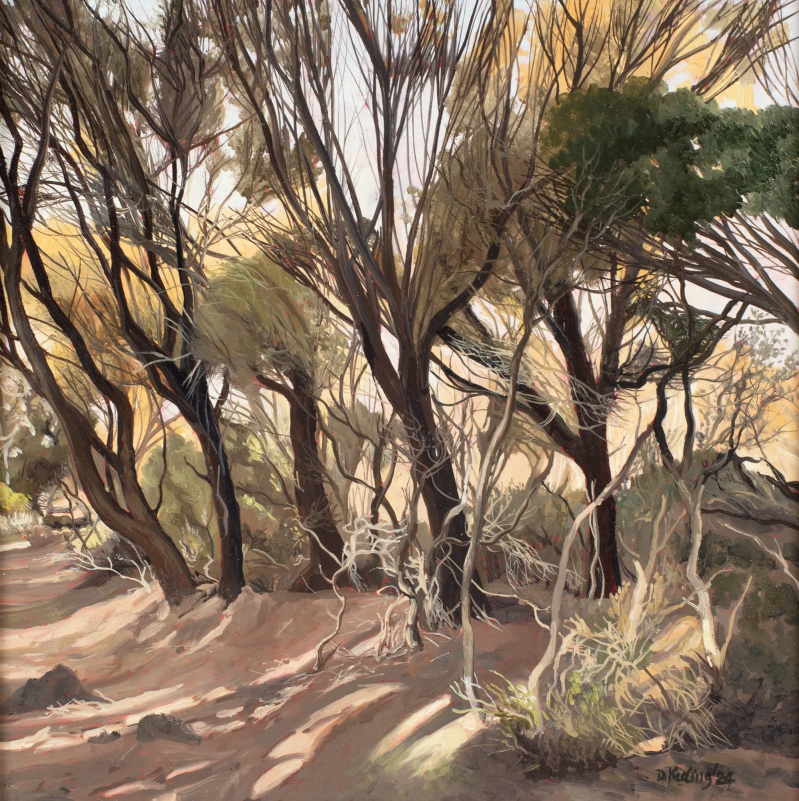 David Keeling, A moment of stillness, 2024