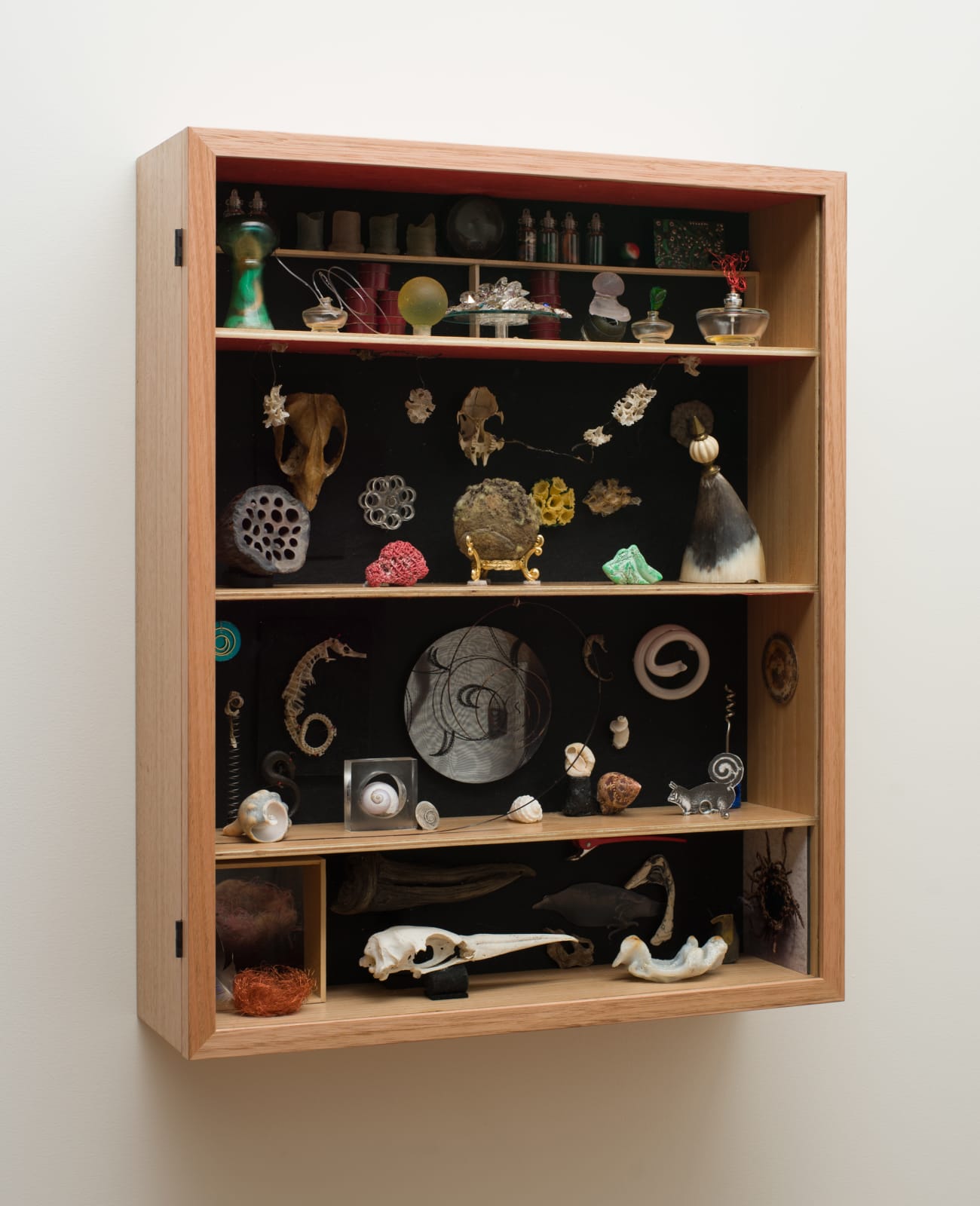 Irene Briant, Cabinet of Curiosities, 2021