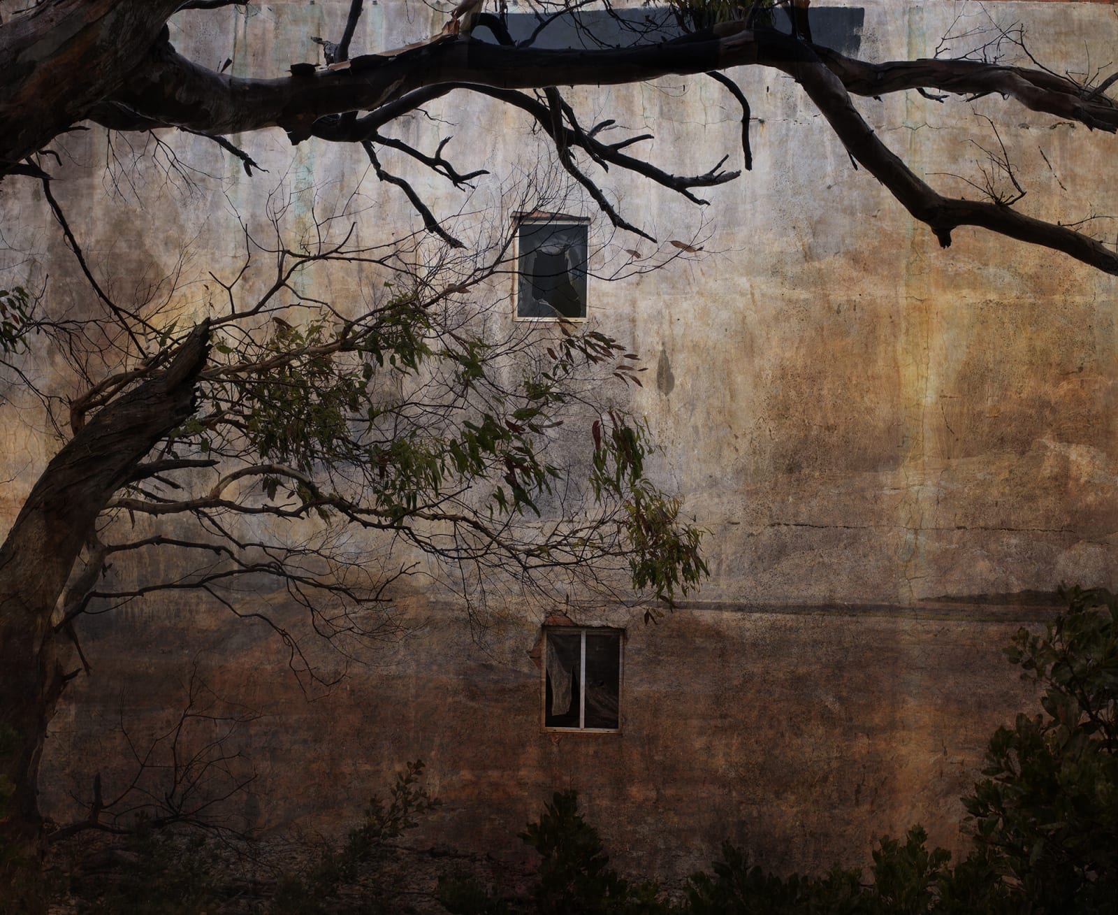 Troy Ruffels, Birdsong, 2020