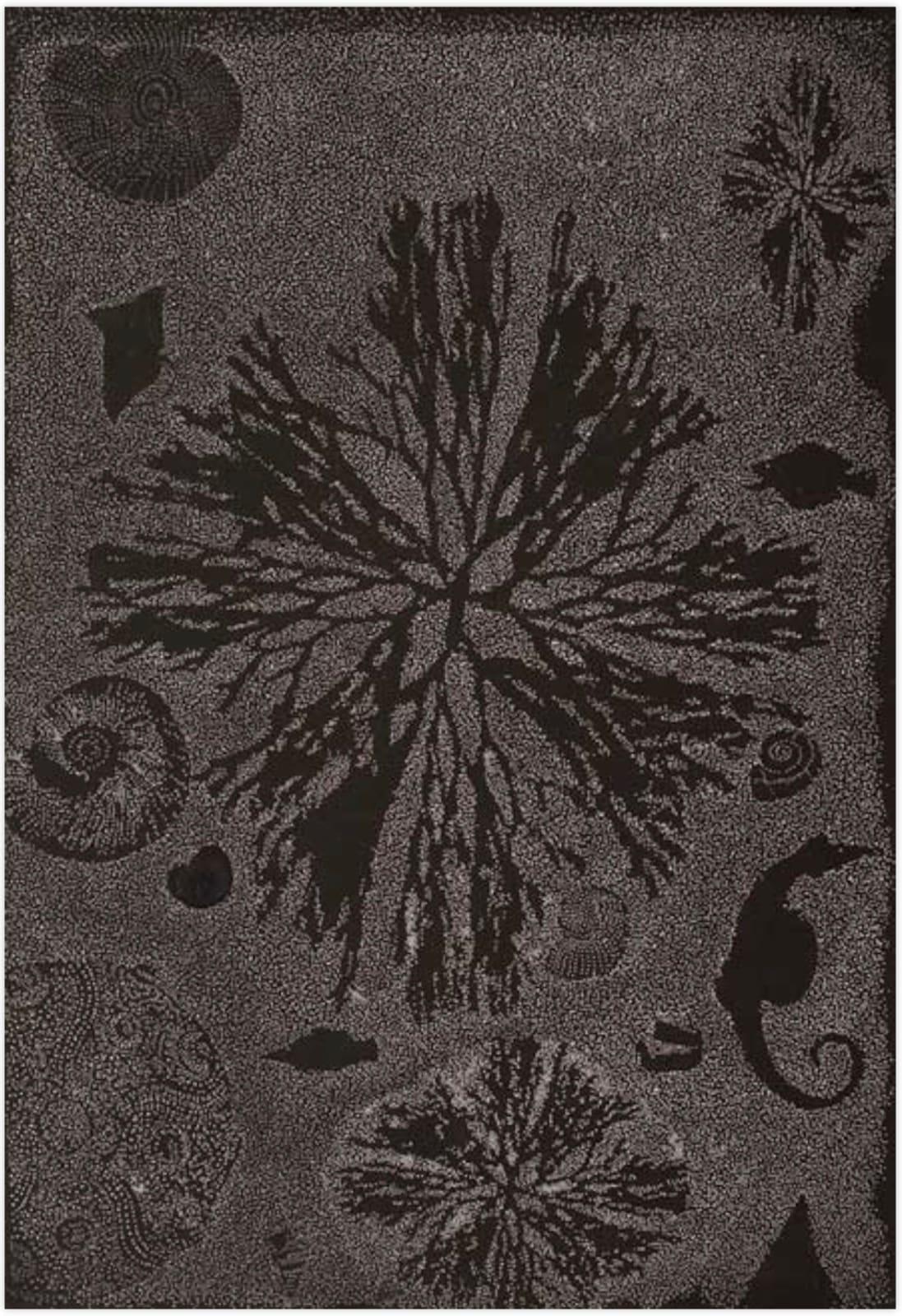 Helen Wright, Seaweed Collection, 2011