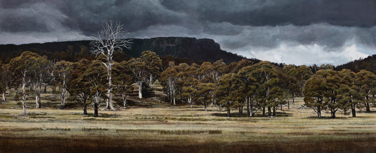 Stephanie Tabram, Passing Storm, 2022