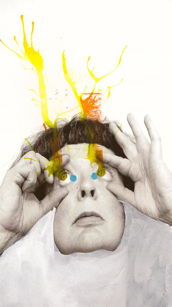 Sally Rees, Zap Zap, 2015