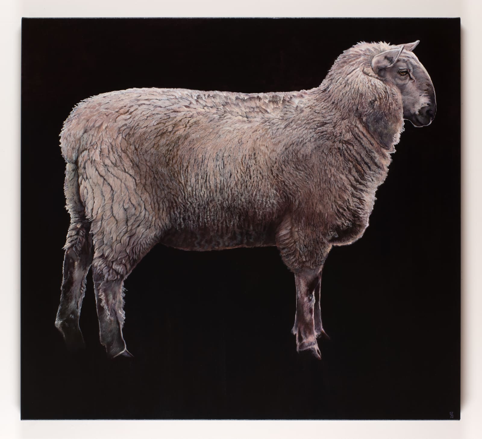Stephanie Tabram, Ewe, 2020