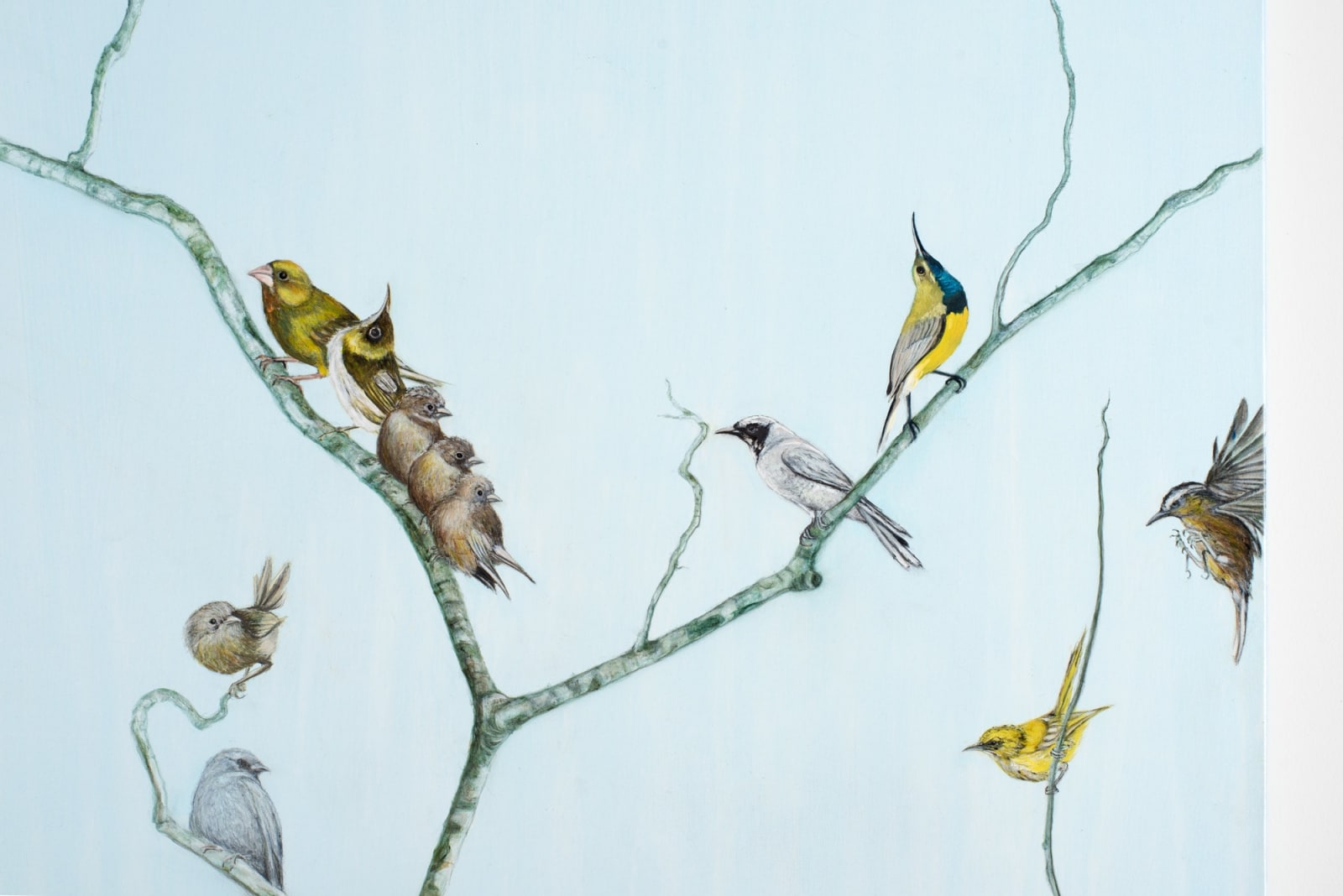 Helen Wright, The gathering, 2024