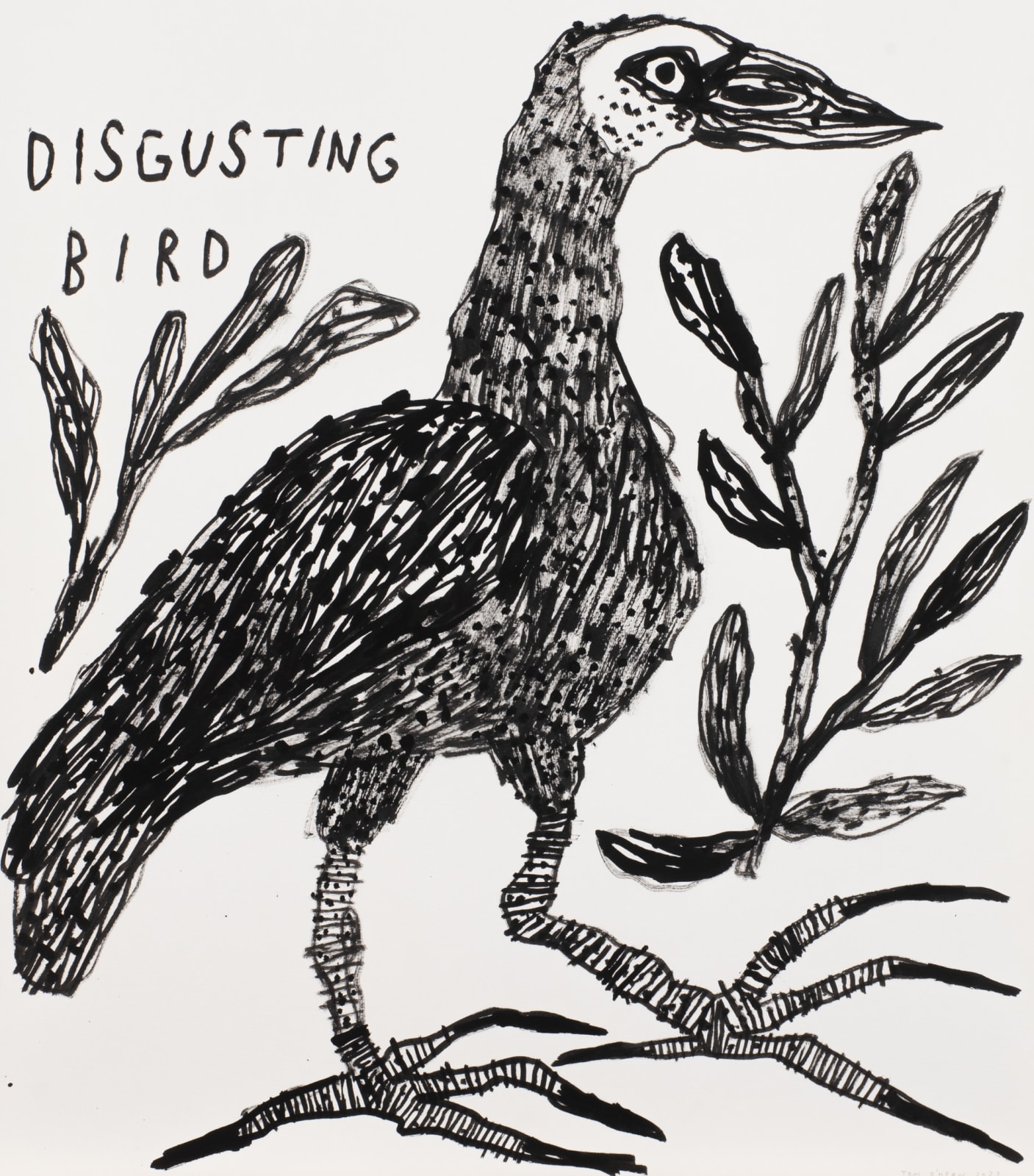 Tom O'Hern, Disgusting Bird, 2022