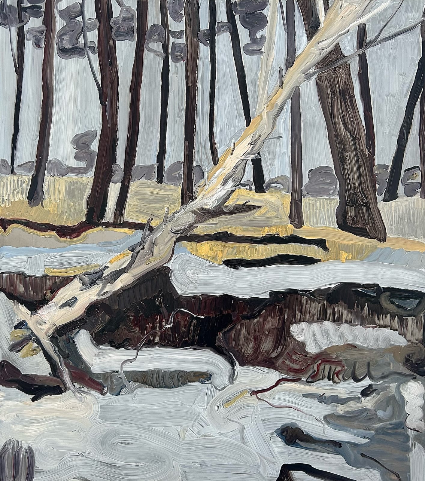 Kate Lewis, Gorringes sand dunes, 2023