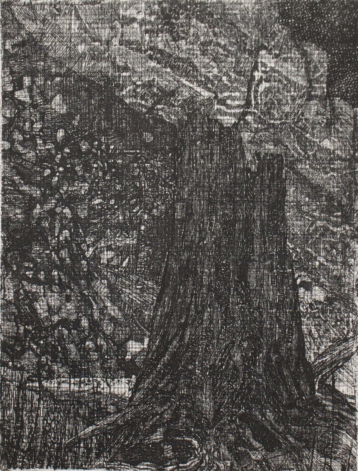 Raymond Arnold, Elsewhere World Fragment No 19 4th state, 2019