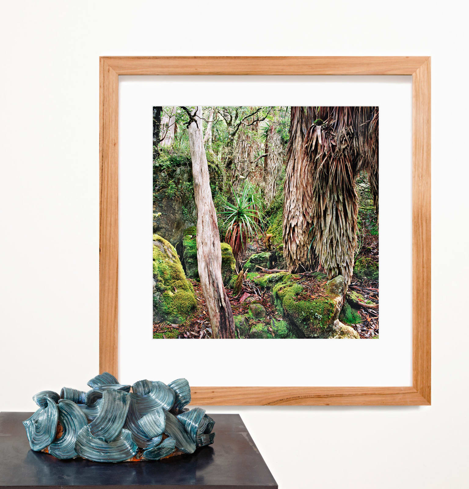 Claudia Terstappen, Beneath the surface, Tasmania, 2021