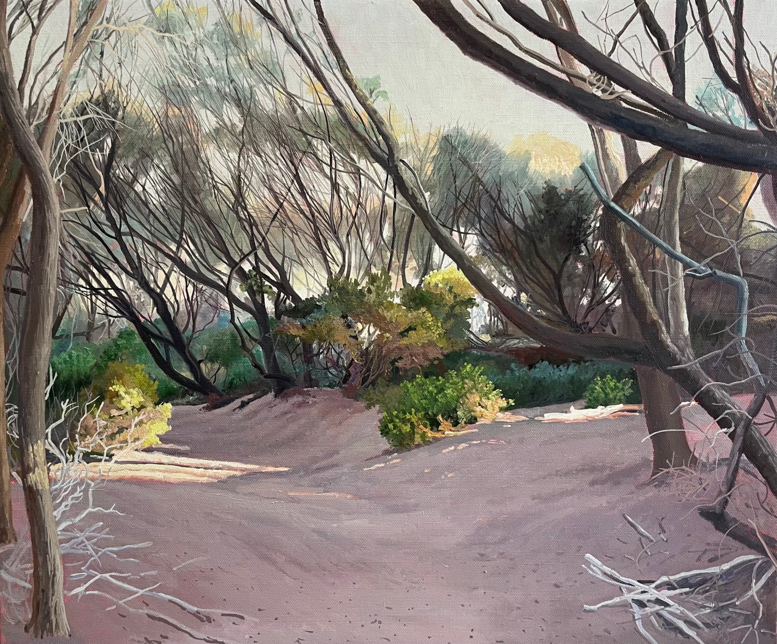 David Keeling, Spring, Narawntapu, 2025
