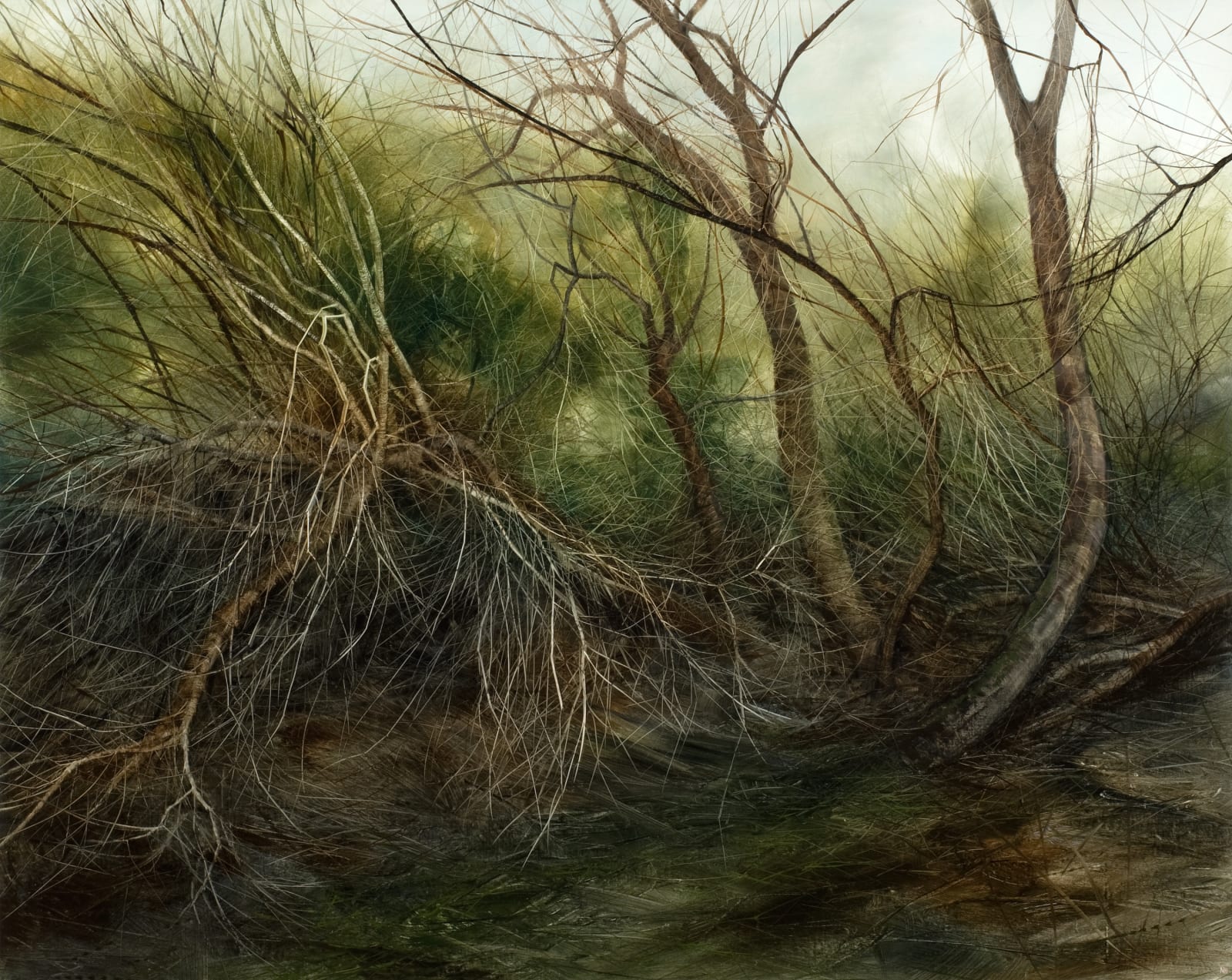 Nicholas Blowers, Winter Willow, 2011