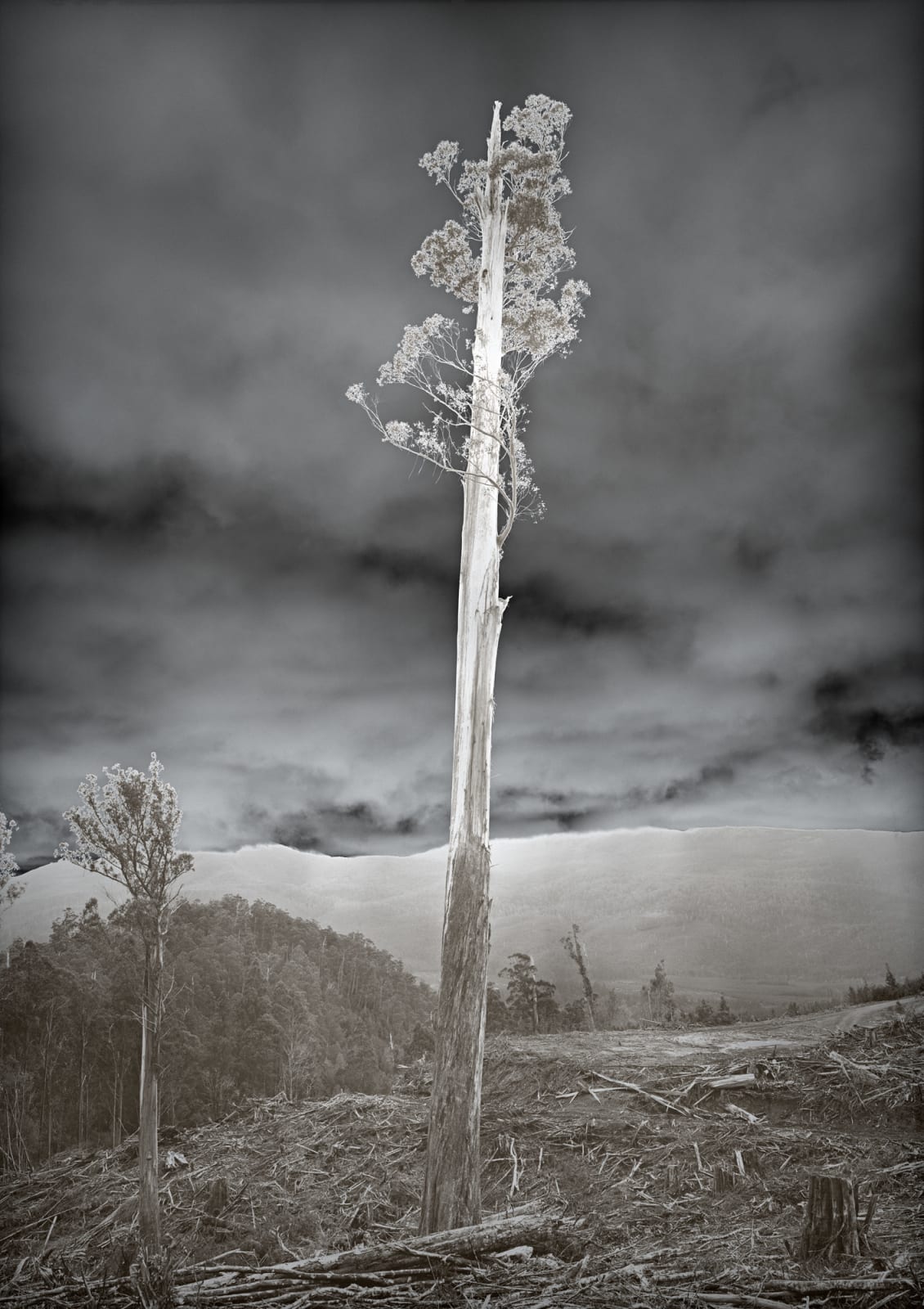 David Stephenson, 2021/103 Maydena Range, 2021