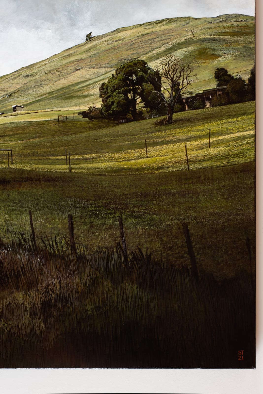 Stephanie Tabram, The Good Year, 2021