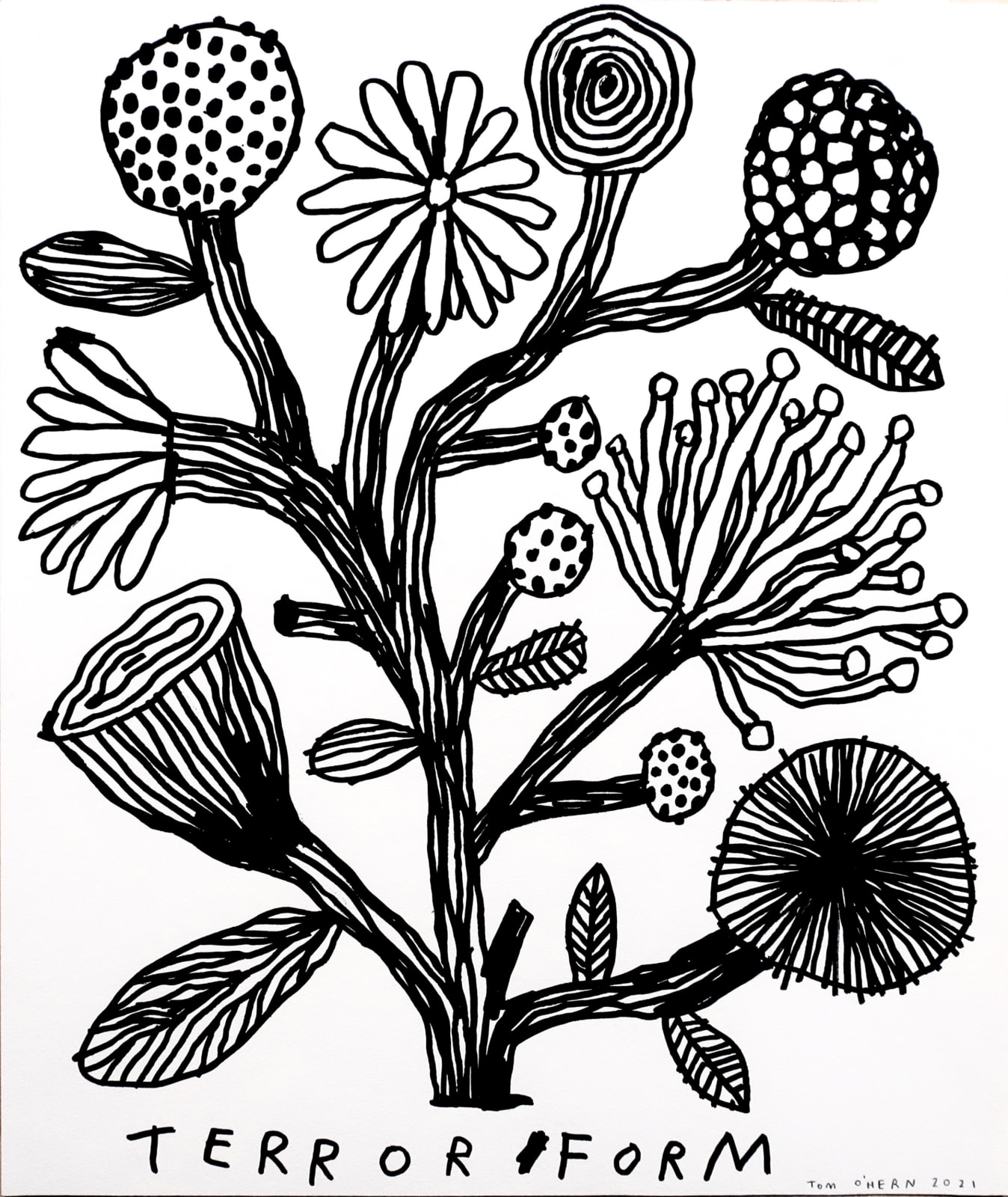 Tom O'Hern, Terror Form, 2021