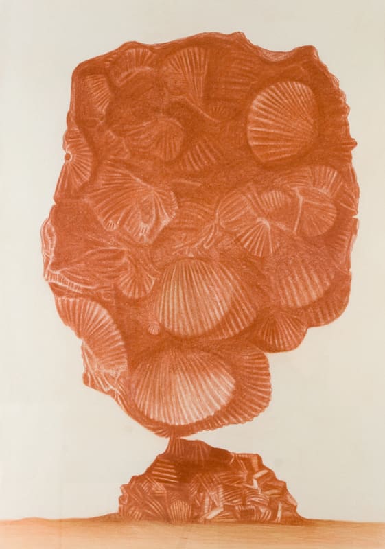 Helen Wright, Wonderland (fossil), 2011