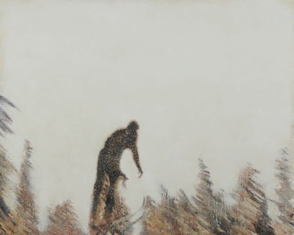 Thornton Walker, Ski jumper I, 2010