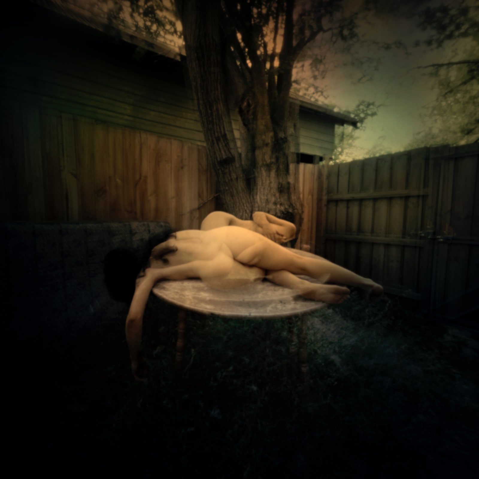 Jane Burton, In Other Bodies 1, 2013