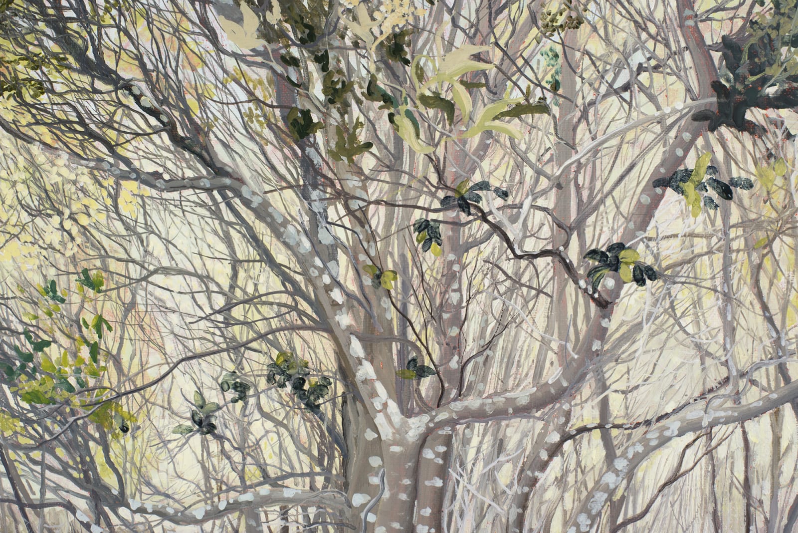 David Keeling, The Big Punchbowl II, 2019