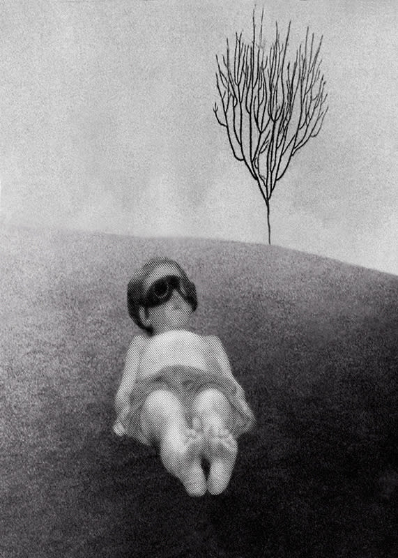 Pat Brassington, A Perfect Day, 2009