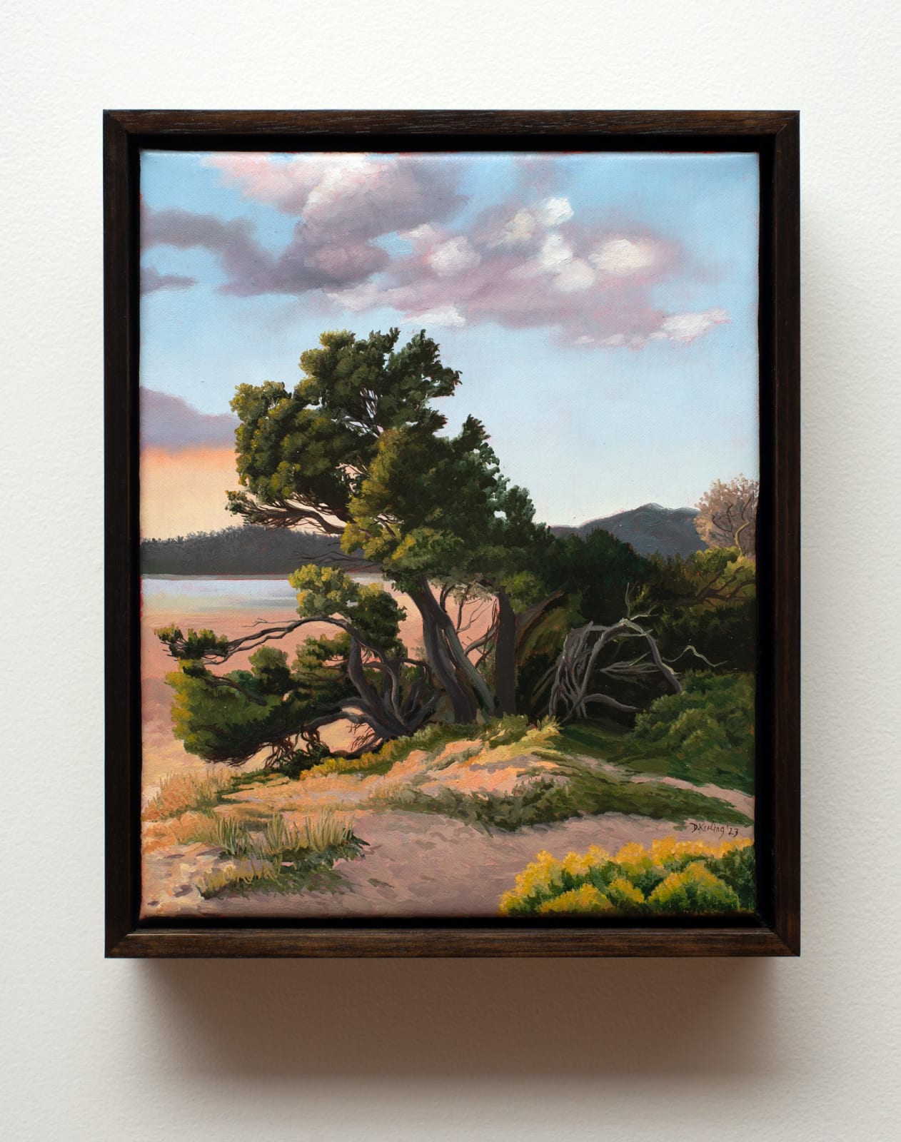 David Keeling, Sunset, Richardson's Beach, 2023