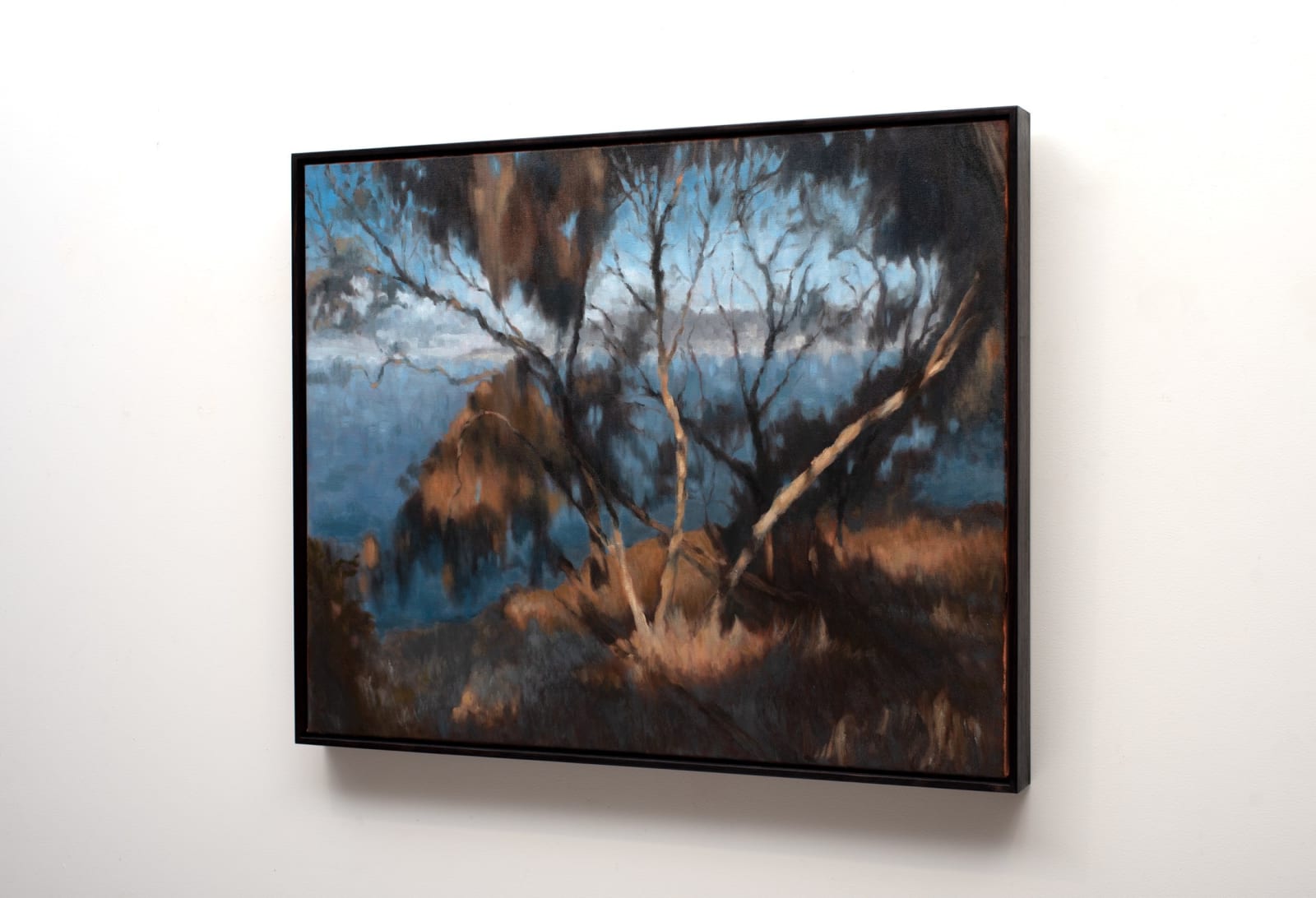 Hannah Webber, Tangled, 2025