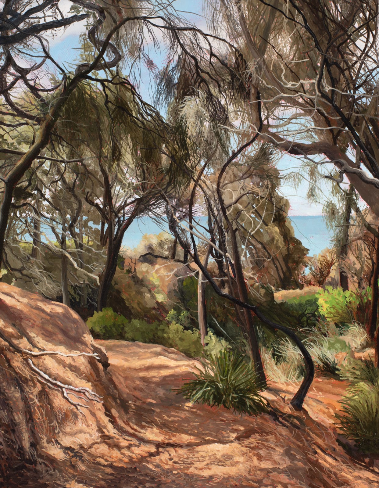 David Keeling, A welcome track, 2024