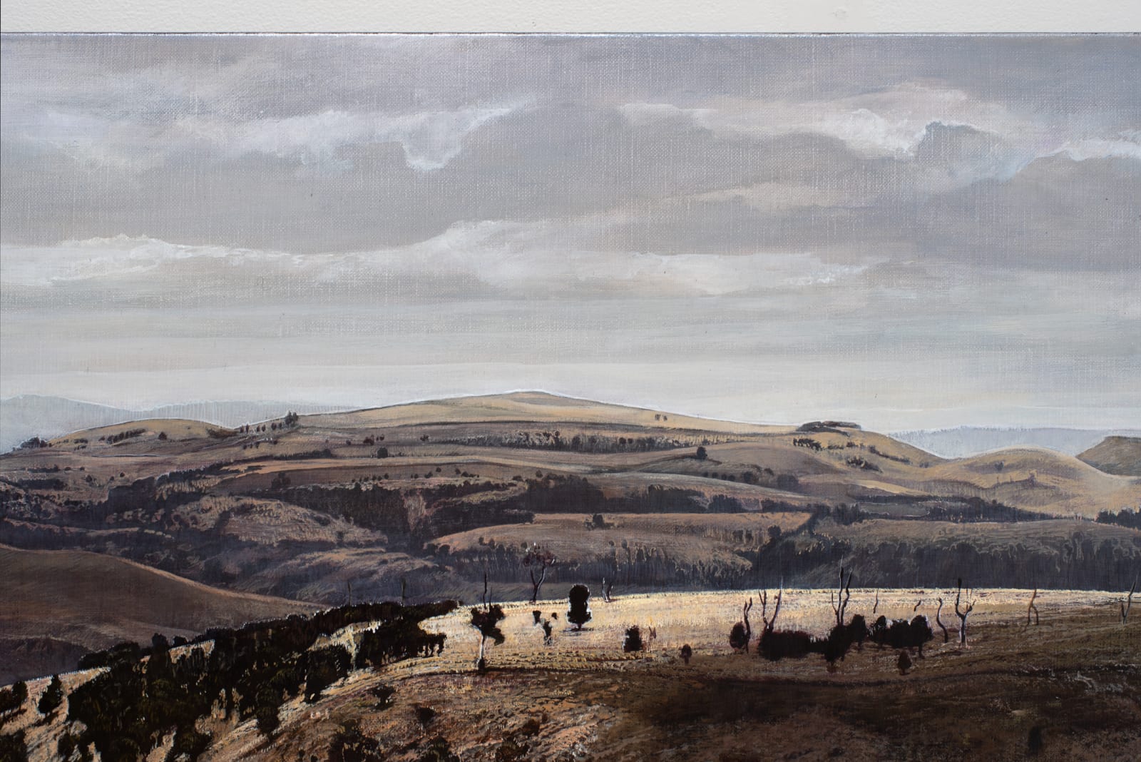 Stephanie Tabram, On Hamilton Plain, 2021
