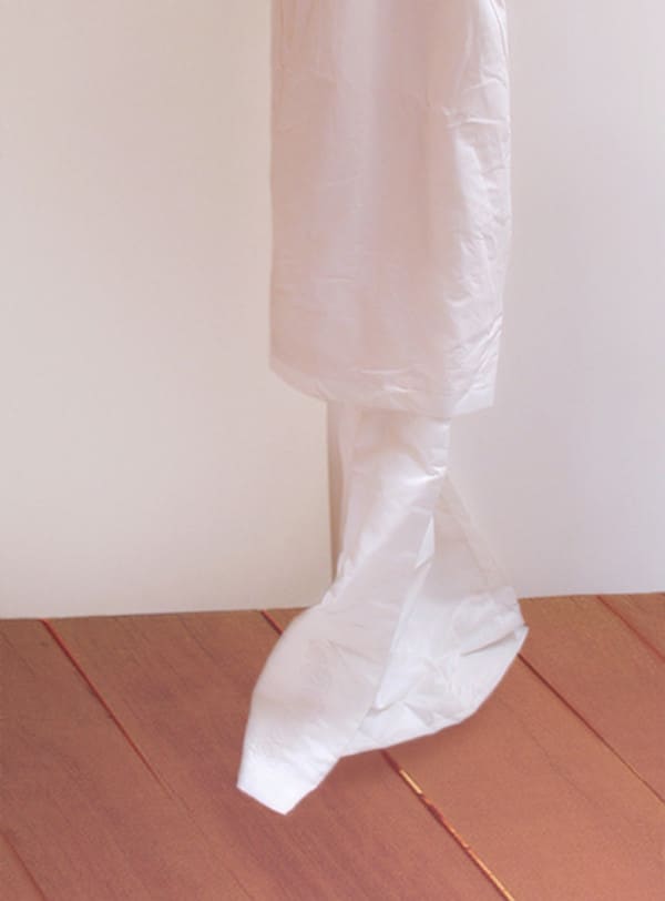 Pat Brassington, Still Life, 2006