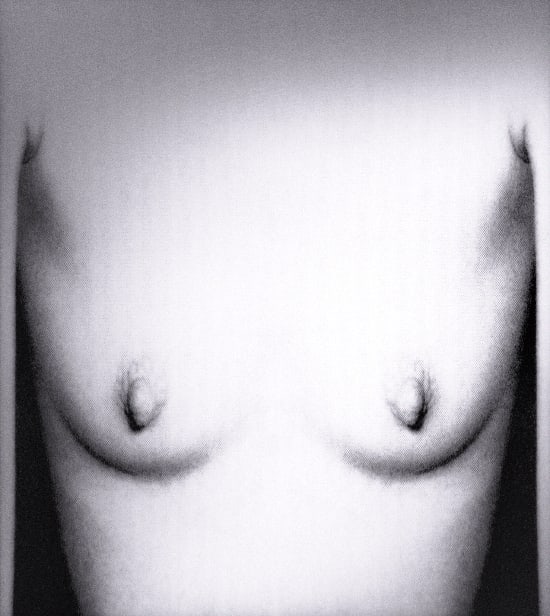 Pat Brassington, Deja Vu, 2015