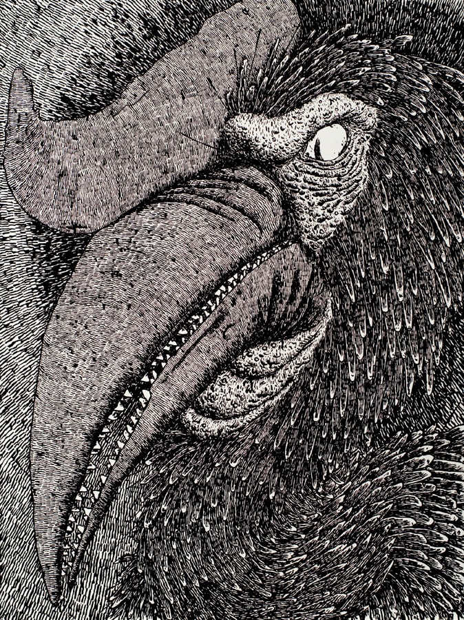 Tom O'Hern, Fly my pretties, 2011