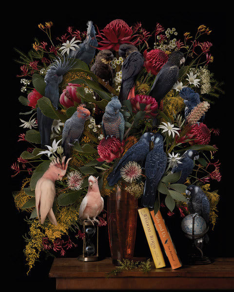 Pamela Pauline, Fading Feathers, 2023