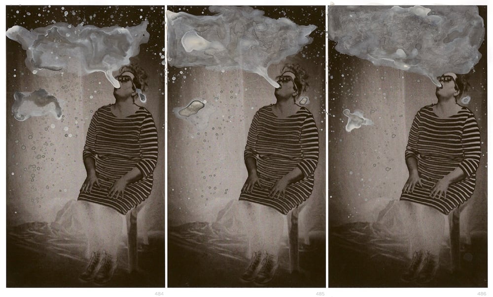 Sally Rees, The Medium frames 484 - 486, 2012