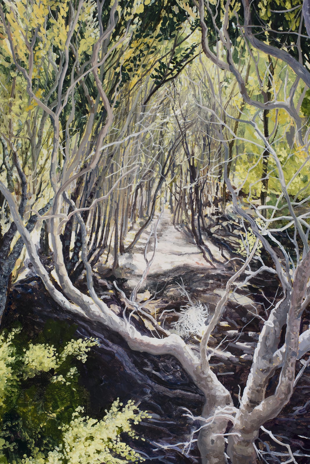 David Keeling, The Big Punchbowl I, 2019