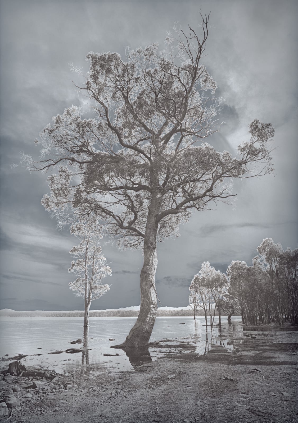 David Stephenson, 2021/141 Drowned Valley of Derwent River at Lake King William, 2021