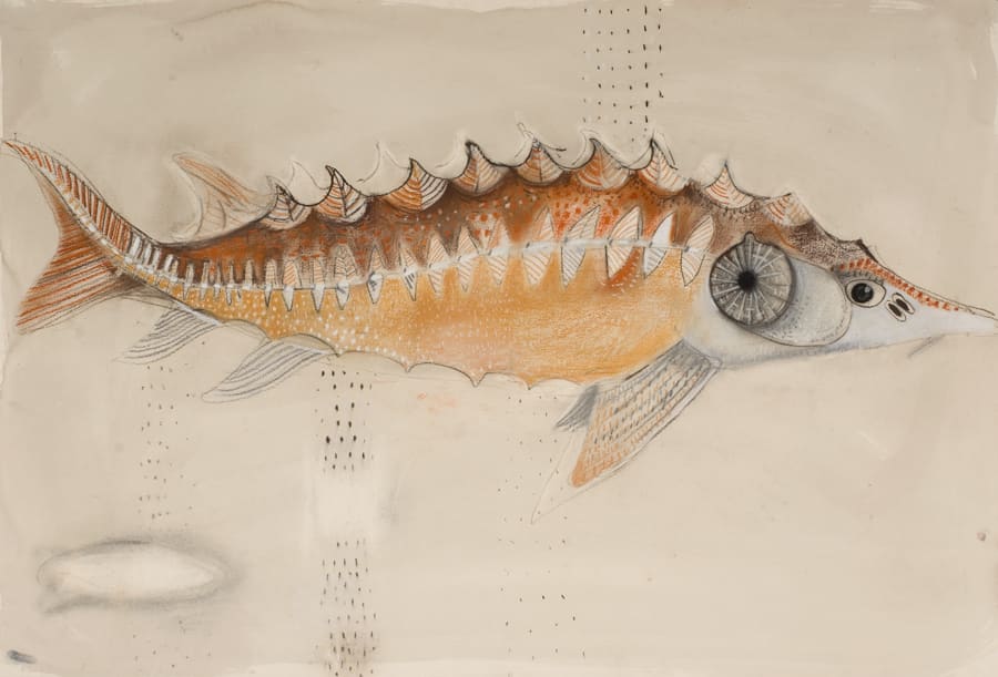 Barbie Kjar, Hunter, 2011