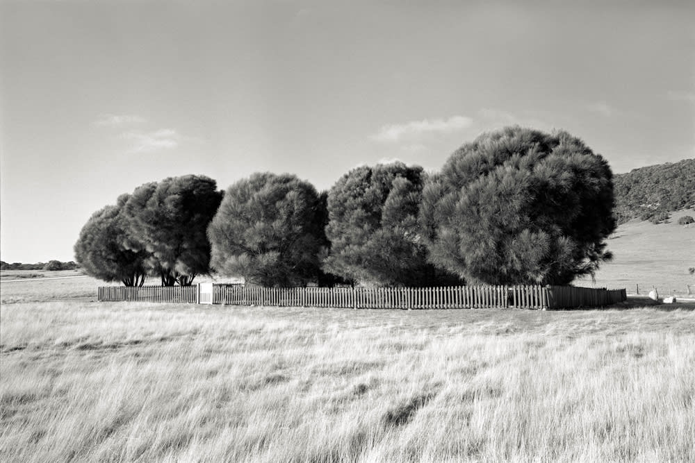 Ricky Maynard, The Healing Garden - Portrait of a Distant Land, 2005/08