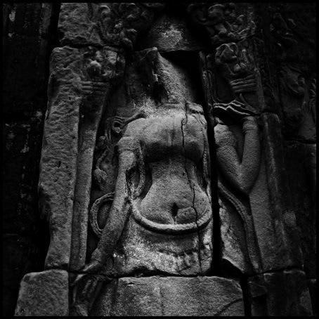 Jane Burton, The Fall 15, 2004