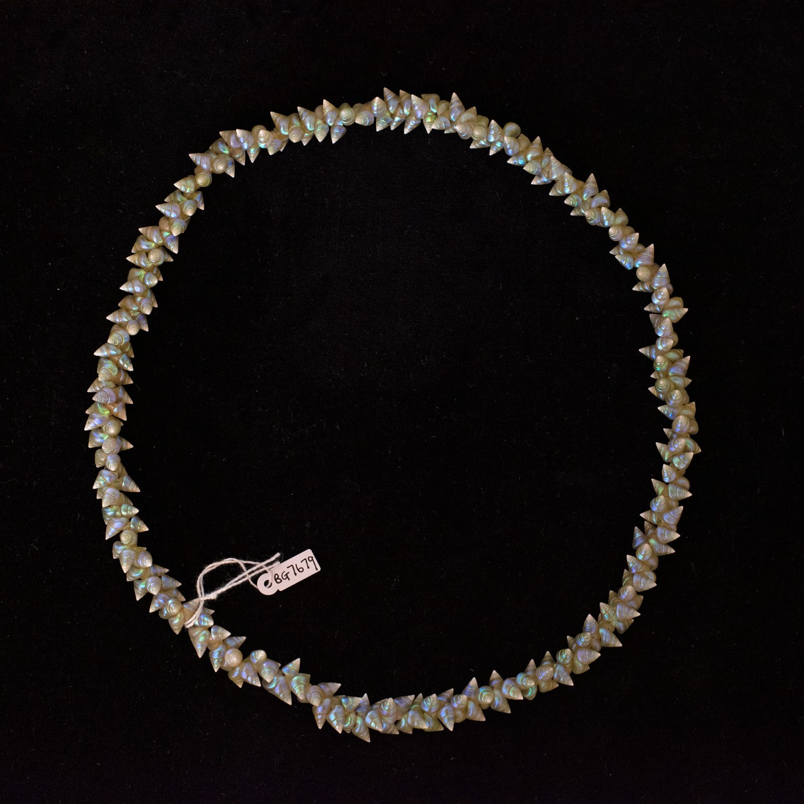 Aunty Jeanette James, Palawa shell necklace, 2020