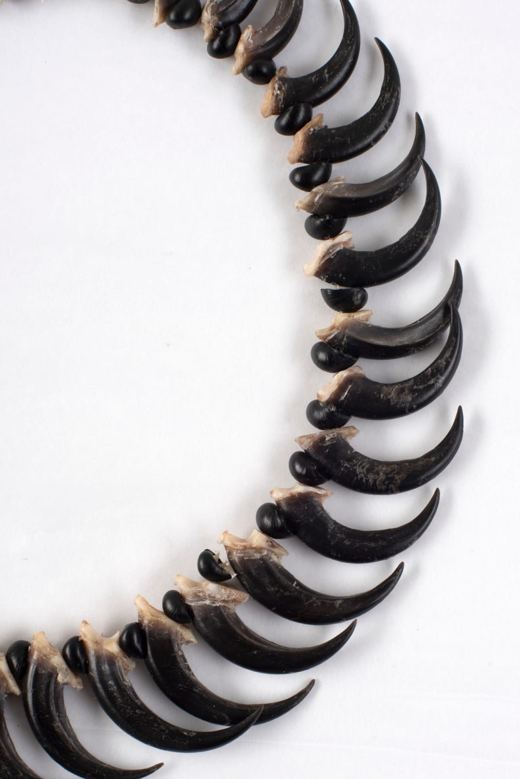 Aunty Jeanette James, palawa necklace, 2022