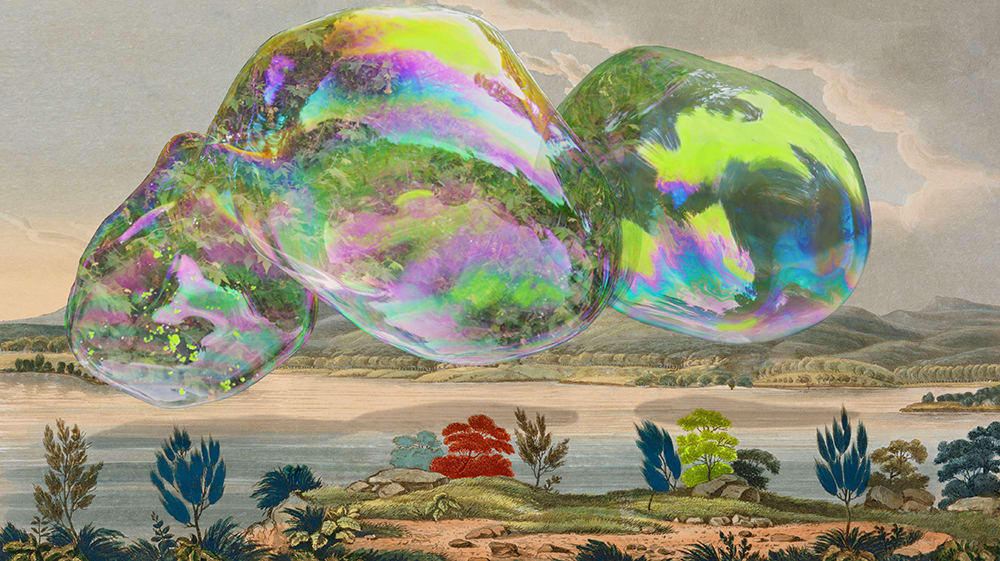 Joan Ross, The history of the other world, 2013