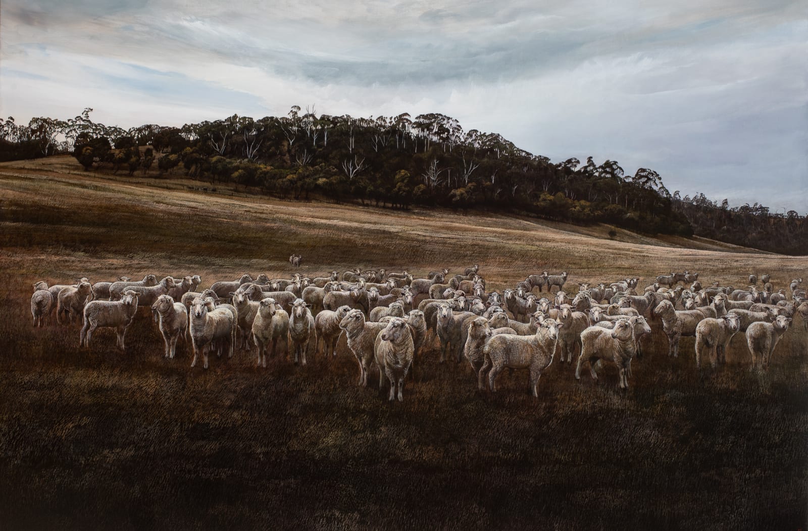 Stephanie Tabram, Wattle & Lamb, 2021