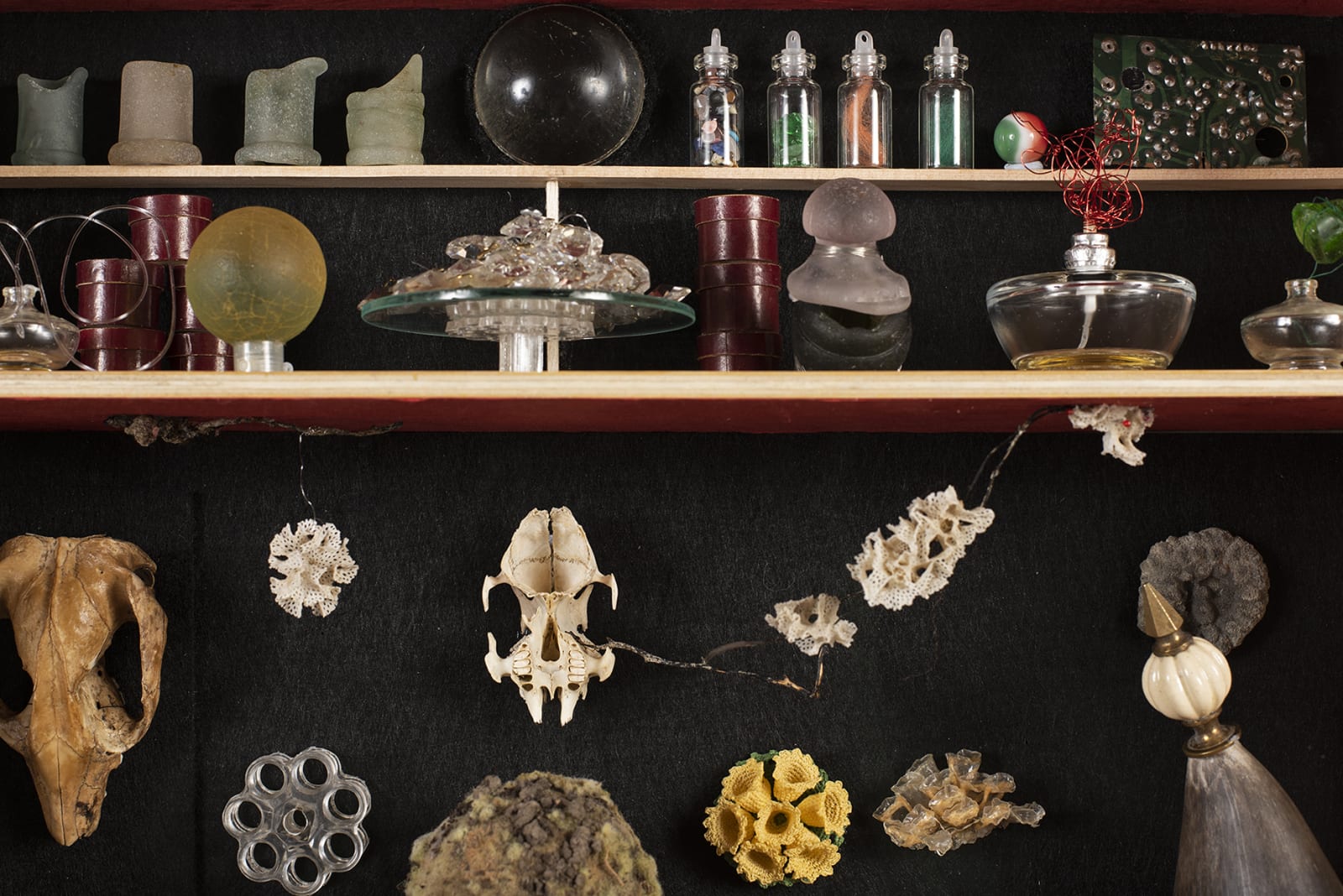 Irene Briant, Cabinet of Curiosities, 2021