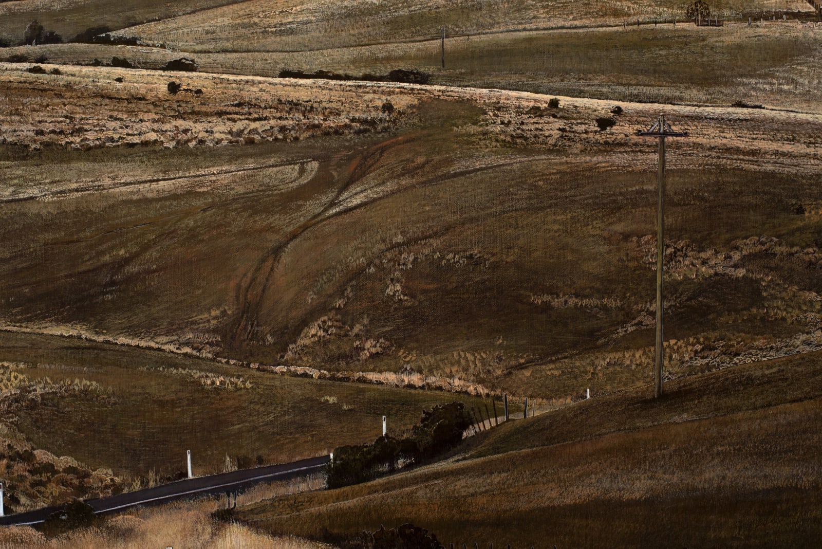 Stephanie Tabram, On Hollow Tree Road, 2023