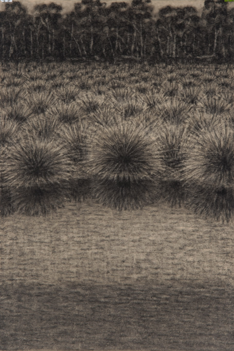 Richard Wastell, Backwater, 2014
