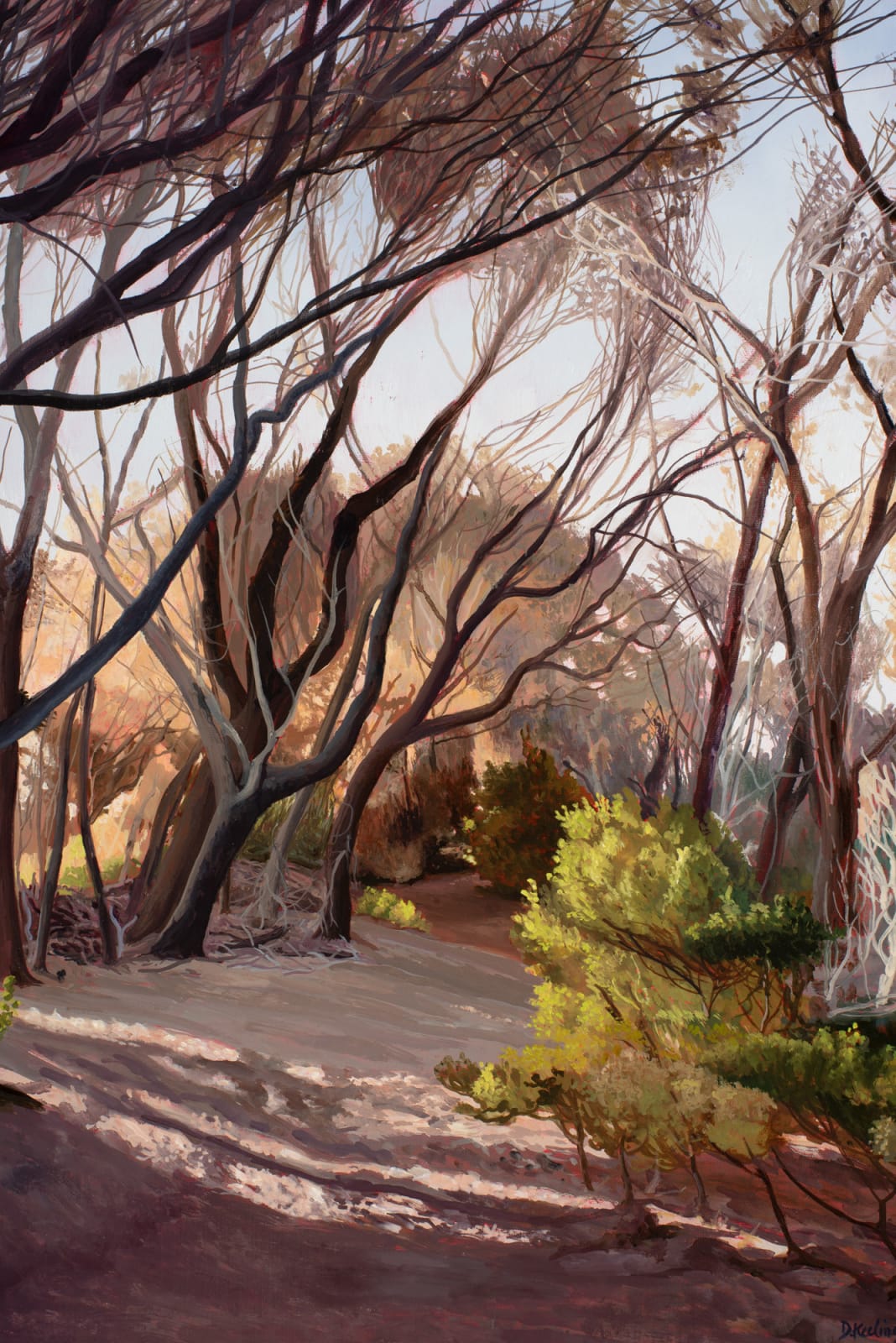 David Keeling, Shadowed walk, 2024