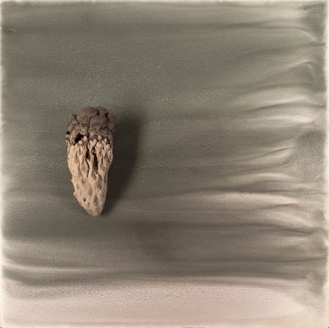 Sara Maher, In relation 2 (kernel), 2016