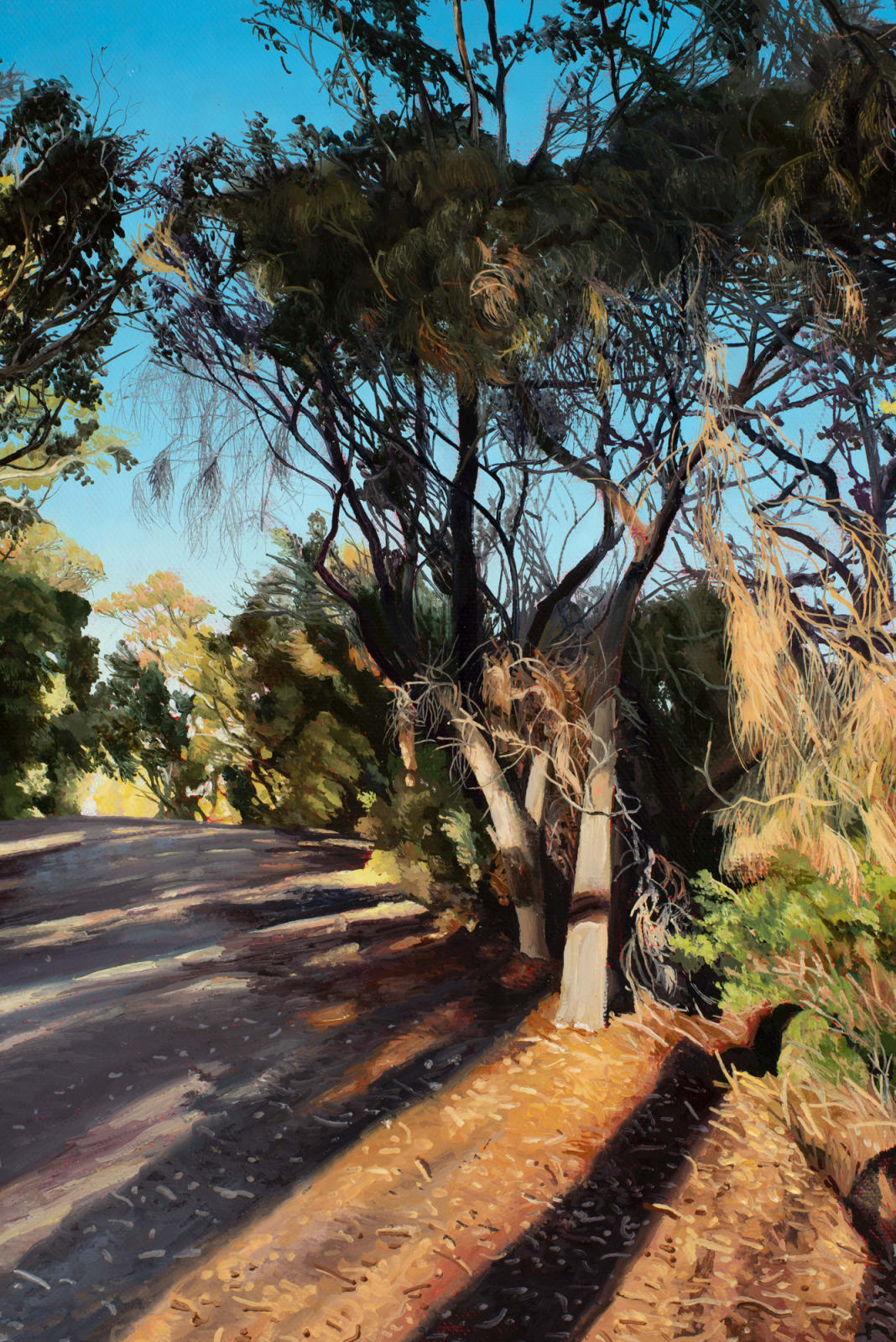 David Keeling, Afternoon walk, 2024